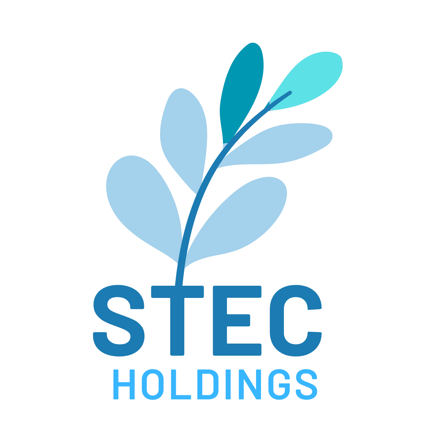 STEC HOLDING PRIVATE LIMITED